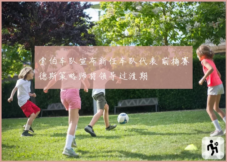 索伯车队宣布新任车队代表 前梅赛德斯策略师将领导过渡期