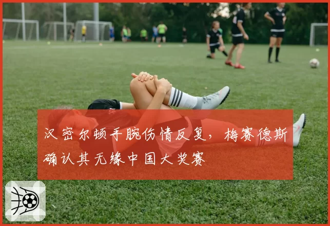 汉密尔顿手腕伤情反复，梅赛德斯确认其无缘中国大奖赛