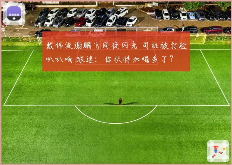 戴伟浚谢鹏飞同夜闪光 司机被打脸叭叭响 球迷：你伏特加喝多了？