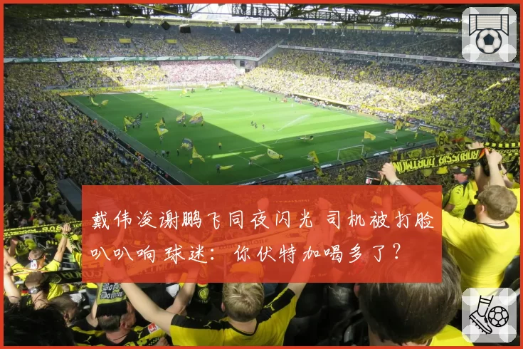 戴伟浚谢鹏飞同夜闪光 司机被打脸叭叭响 球迷：你伏特加喝多了？